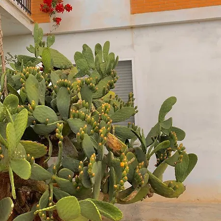 La Casa Rosa * Molini di Tenna