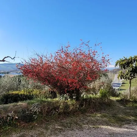 La Casa Rosa * Molini di Tenna